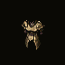 84567c41-80c9-4616-91ac-cd076cac7127.png