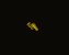 38efe222-2167-48cb-ba1f-cda9bb0243e3.png