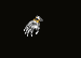 6efb94b0-d0e1-40ad-a7fe-6378b041a20e.png